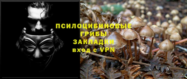 прущие крисы Медвежьегорск